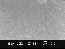 SEM Analysis Fig 8 (a, b&c) shows SEM images of polymer electrolytes at different blending ratios (film A 0, A 4 &A 5 ) respectively.