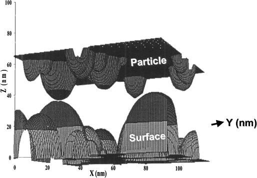 size, and the fractional coverage of the surface by asperities. When there was no common asperity shape, as was the case in this study, the asperities were assumed to be hemispherical.