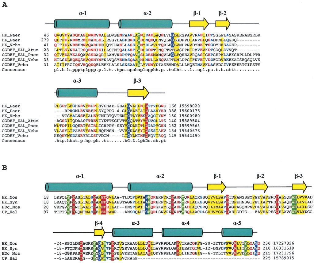 292 ZHULIN ET AL. J. BACTERIOL. FIG. 7. Multiple alignments of CHASE5 (A) and CHASE6 (B) domains. Secondary-structure elements and domain abbreviations are described in the legend to Fig.