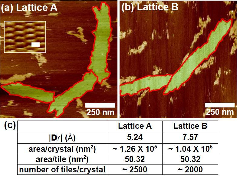 Figure 4. AFM images of (a) lattice A and (b) lattice B. The regions enclosed by red boundaries indicate single lattice formations.