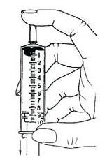 Place 15 leaf disks into the body of the syringe. Be sure the leaf disks are near the tip of the syringe as you re- insert the plunger so as not to damage the disks. 4.