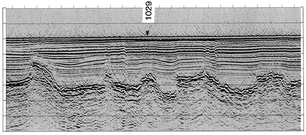 Fig. 3 for location of proþles). All seismic data were collected using a 1.