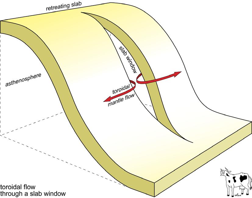 11 Realignment of plate boundaries Rollback is essential in changing the orientation of plate boundaries.