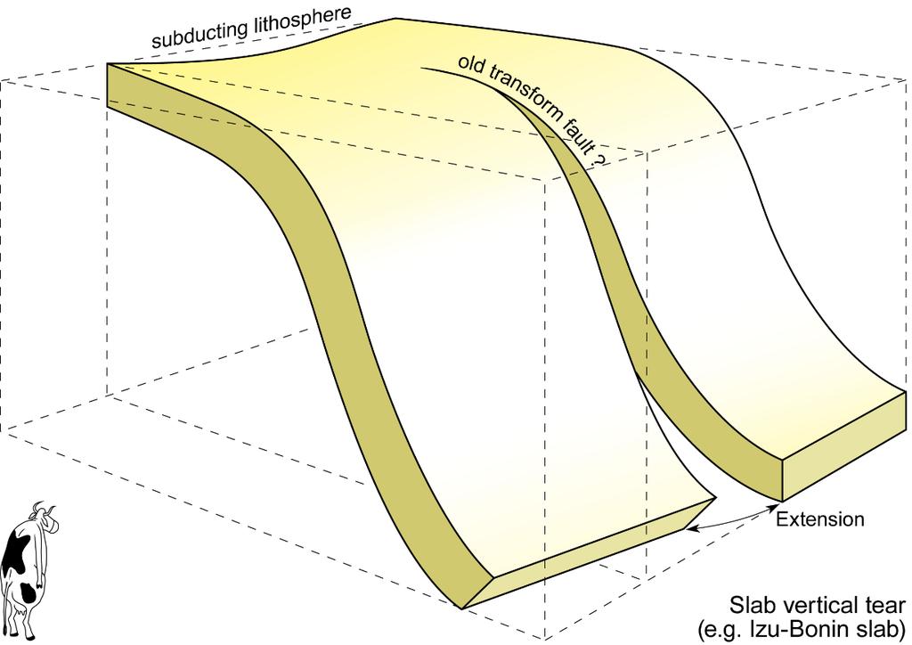 13 Slab fragmentation Combined horizontal and vertical fracturing produces extensive slab fragmentation into disconnecting pieces of variable sizes.