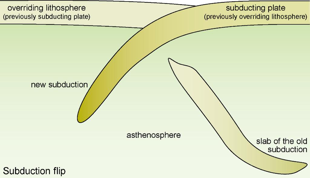 Slab breakoff and subsequent isostatic rebound of the previously subducted continent may induce the sense of subduction to be reversed so that the previously upper