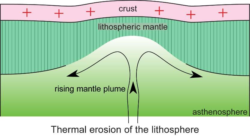 16 Earth scientists have envisioned two possibilities: layer division and convective thinning. In both cases, the asthenosphere flows to replace the lithosphere.