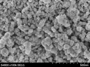 2.3. SEM analysis on the morphology of the catalysts To gain a deeper insight into the morphologies and microstructures of the Sn Mn catalysts, some typical samples were analyzed by SEM, as shown in