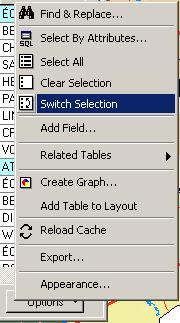 (hint: in the attribute table use the switch selection options menu item then select all