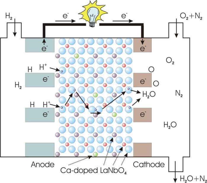 Figure 2-13. Proton conducting solid oxide fuel cell, based on Ca-doped LaNbO 4. Note how H 2 fuel can be utilized fully as no water is produced to dilute it on the anode side.