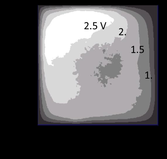 Plasma rotation in an e-beam sustained magnetized plasma column 36 2D PIC MCC model of magnetized plasma column No