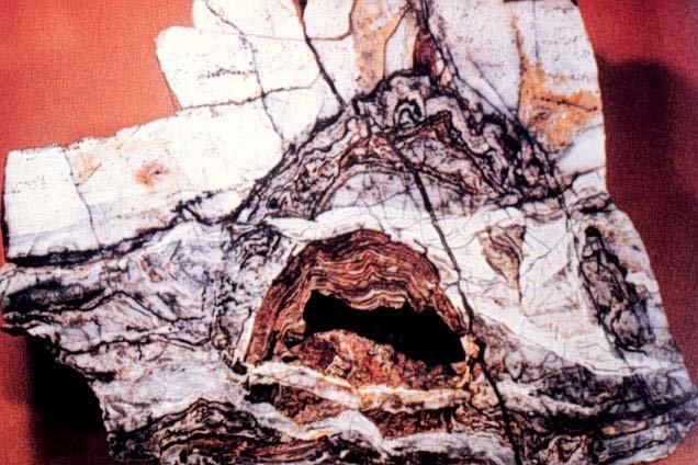 Stromatolite, 3.