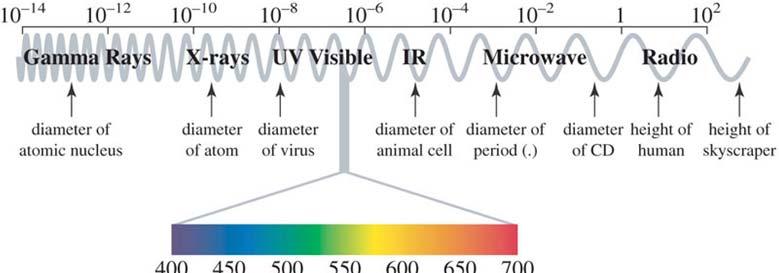 meters The Electromagnetic Spectrum: Wavelength 1 m = 10 9 nm 1 nm = 10-9 m The various types