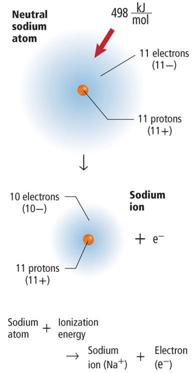 Positive Ion (Cation) Formation Negative Ion (Anion) Formation Na