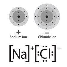 valence electrons. It gains one electron from Na.