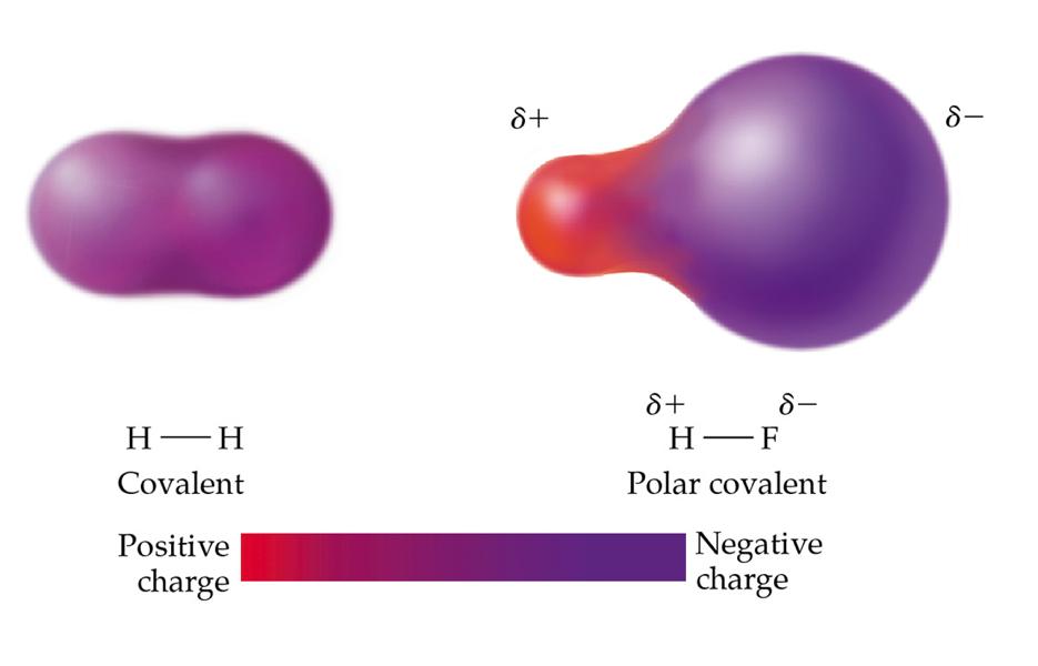 Polar Covalent Bond When a diatomic molecule
