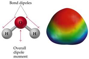 Molecular Shape and Molecular Polarity In water, the molecule is not linear and the bond dipoles do not cancel each other. Therefore, water is a polar molecule.