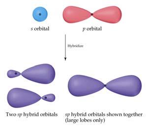 Atomic orbitals can mix or hybridize in order to adopt an appropriate geometry for bonding. Hybridization is determined by the electron domain geometry.