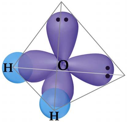 Figure 9.19 sp 2 and sp 3 Hybridization Involving d Orbitals Since there are only three p-orbitals, trigonal bipyramidal and octahedral electron domain geometries must involve d-orbitals.