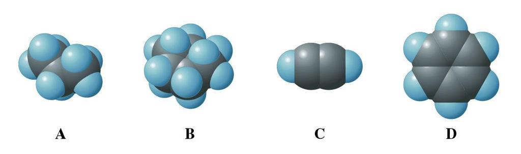 Figure 24.2: Molecular models for the different hydrocarbons.