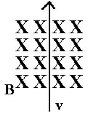 the coordinate axis given +z +y +x B = -x v =