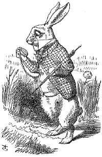 Unit 5 Assessment Chapter 1 - Down the Rabbit-Hole Alice in Wonderland By: Lewis Carroll Alice was beginning to get very tired of sitting by her sister on the bank, and of having nothing to do: once