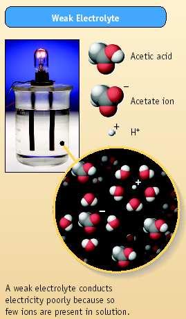 6 Acetic acid ionizes only to a small extent, so it is a