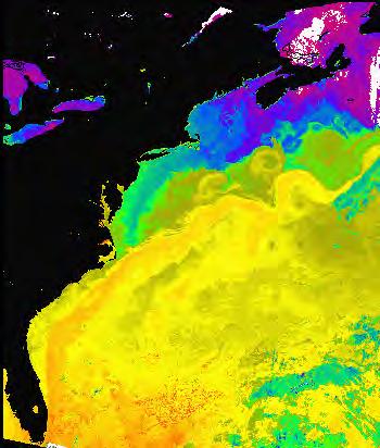 Figure 2.4 Satellite image of sea surface temperature off the east coast of the United States Gulf stream, ocean eddies. Eddy spatial scale ~50 km computationally costly.