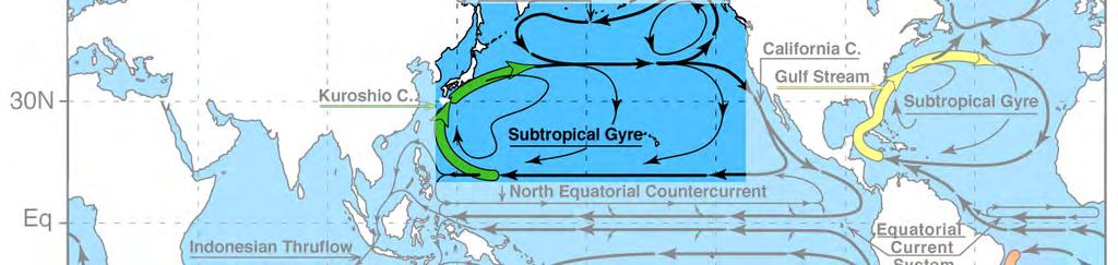 Ocean surface currents (cont.) Along the Equator, currents are in direction of the wind (easterly winds drive westward currents [note terminology!