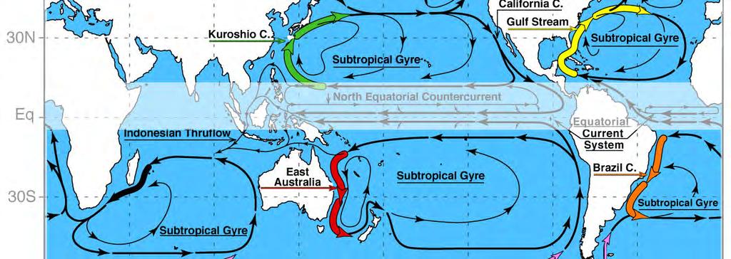 Just slightly off the Equator, small component of the current moves poleward; important because it diverges produces upwelling (chap. 3). Circulation systems known as gyres.