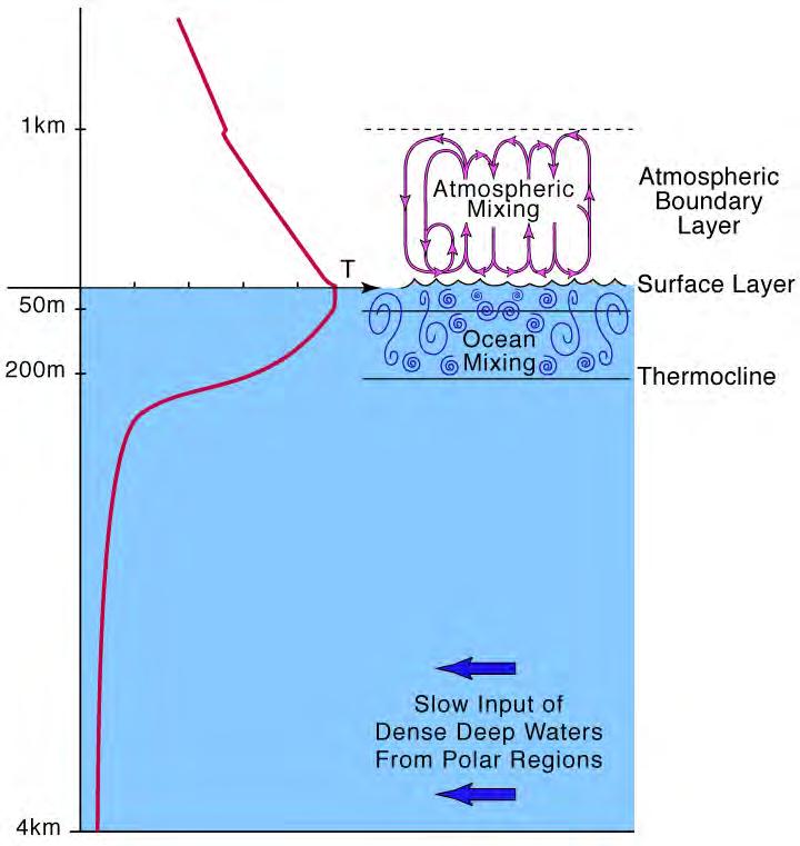 Ocean vertical structure (cont.) Figure 2.