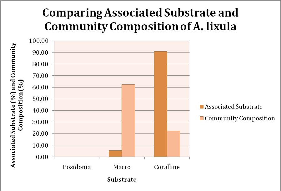Figure 6: A comparison between substrate associated
