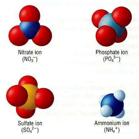 Polyatomic Ion: Charged group of atoms acting as a unit NO 3 - PO 4