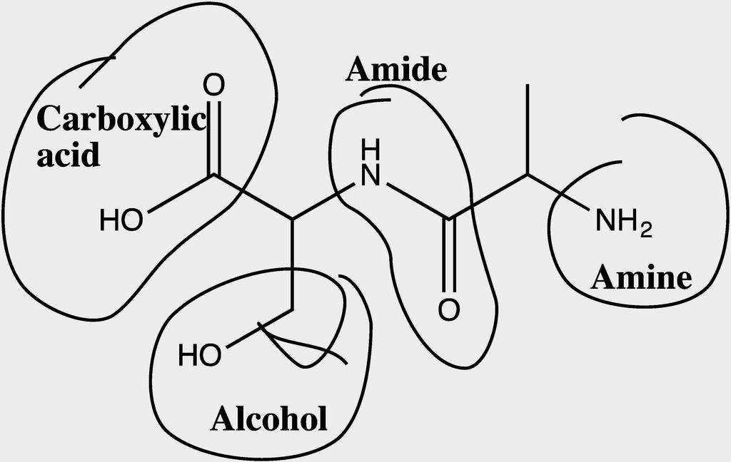 DIF: Medium REF: 1.13 OBJ: Recognize and name functional groups within a complex molecule. MSC: Analyzing 22.
