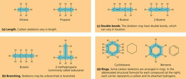 Hydrocarbons What is a hydrocarbon chain? It is a long C-H chain What type of bond is the C-H bond?