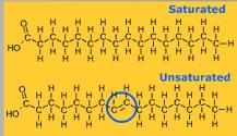 bonds Isomers What is an isomer? Molecules that have the same molecular formula but different structures.