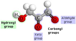 A. Hydroxyl Group What does it look like? C-OH What are some characteristics? Alcohols Polar and water soluble Names end in -ol (ethanol) B. Carbonyl Group What does it look like?