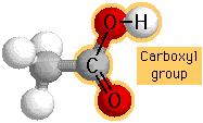 Carboxyl Group How did it get its name? COOH - This group consists of a carbon atom that is bonded to both a carbonyl and a hydroxyl group. Why is this group acidic?