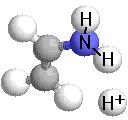 Functional Groups Amino Group Can act as a base and pick up a H + ion Carboxyl Group can act as an acid and give up a