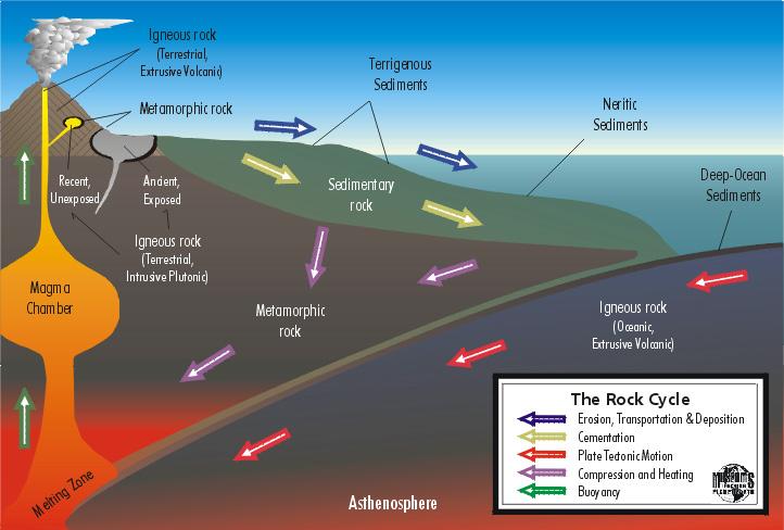 How the rock cycle integrates into plate tectonics.