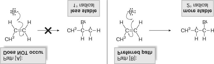 In step 3, the first step of propagation, a bromine radical adds to the double bond to give the most stable of the two possible carbon radicals (in this case, a 2 o radical) Attack at the 1 o carbon