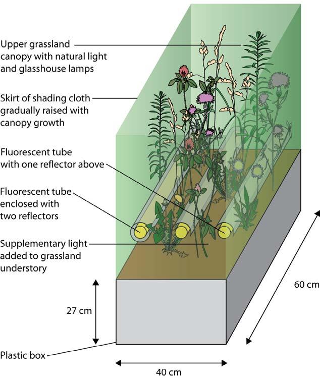 1 Competition for Light Causes Plant Biodiversity Loss Following Eutrophication Yann Hautier, 1 * Pascal A.
