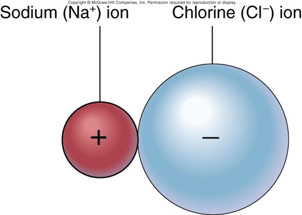 Ionic Bonding:Electron Transfer Cations (+) are always smaller than
