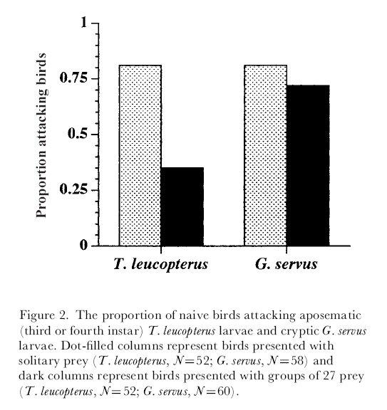 Cryptic, palatable prey Tesing Fisher s Model Being in a group reduces attack rates of aposematic prey. (Gamberale and Tullberg, 1998).