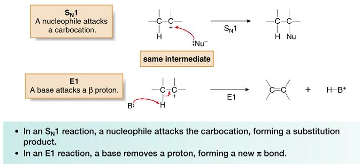 of a carbocation. They differ in what happens to the carbocation.
