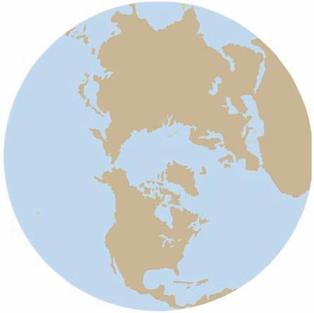 42 FIGURE 2.20 An equal-area world projection map. This map preserves area relationships but distorts the shape of landmasses.