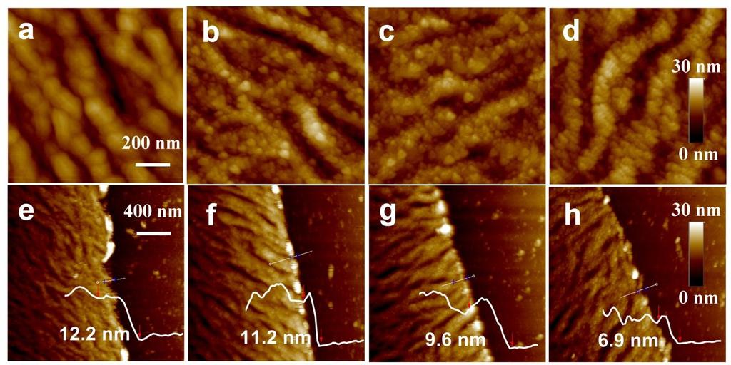 Fig. S5 AFM images of a pristine PDPP3T film (a), (e) before and after plasma treatment at (b), (f) 24 W for 2 min, (c), (g) 48 W for 2 min, and (d), h)