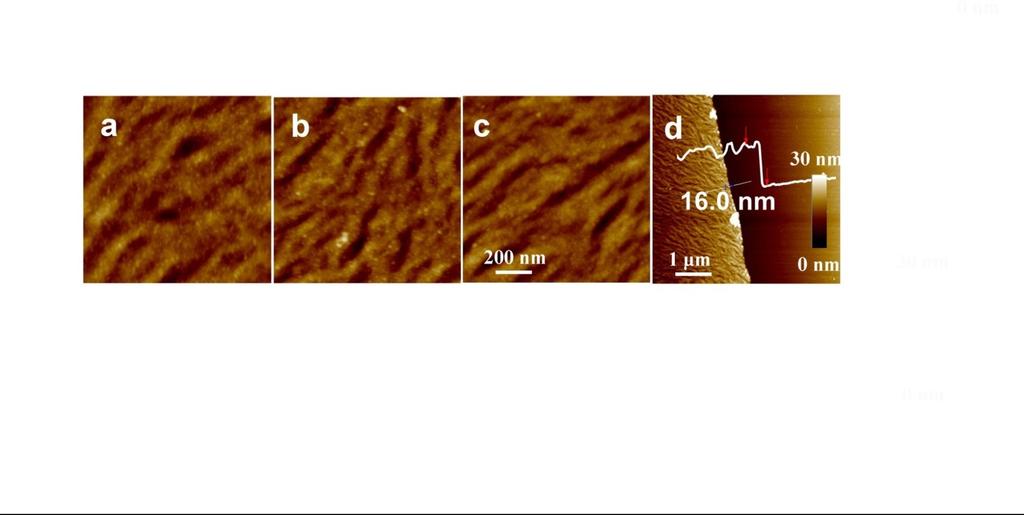 Fig. S7 AFM images of O 2 plasma treated PDPP3T films after apyrase functionalization for (a) 1 h, (b) 6 h, and (c) 12 h.