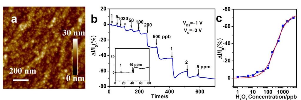 Fig. S11 (a) AFM images of a PDPP3T film functionalized by catalase. The functionalization is realized by immersing the device in a PBS (10 mm, ph 7.4) buffered catalase (Sigma-Aldrich, EC 1.11.1.6, 0.