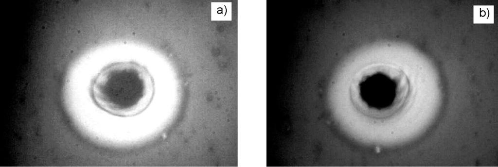 Sol-gel derived antireflective coating 823 From the AFM image (Fig. 5a) we can conclude that the just obtained colloidal silica coating is composed of silica particles ca. 40 nm in diameter.