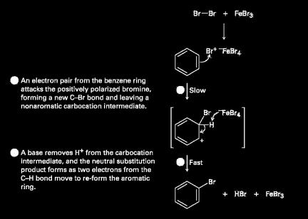 The mechanism of the electrophilic bromination of benzene The reaction occurs in two steps and involves a resonancestabilized carbocation intermediate Aromatic Halogenation Electrophilic substitution
